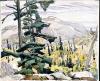 Franklin Carmichael, Untitled (La Cloche Landscape with Pines), circa 1935-45, watercolour on paper, 27.5 x 33.5 cm. Collection of the MacKenzie Art Gallery, gift of John R. Mastin