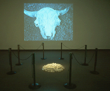 Dana Claxton Buffalo Bone China, 1997