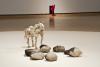 Edward Poitras, Ground, 2012, rice, rocks, coyote bone, coyote  fur, buffalo wool, glue, vinyl, paint,  wood, water, bowl, coyote  decoys, styrofoam, wire, cotton fabric.  Photo by Don Hall.